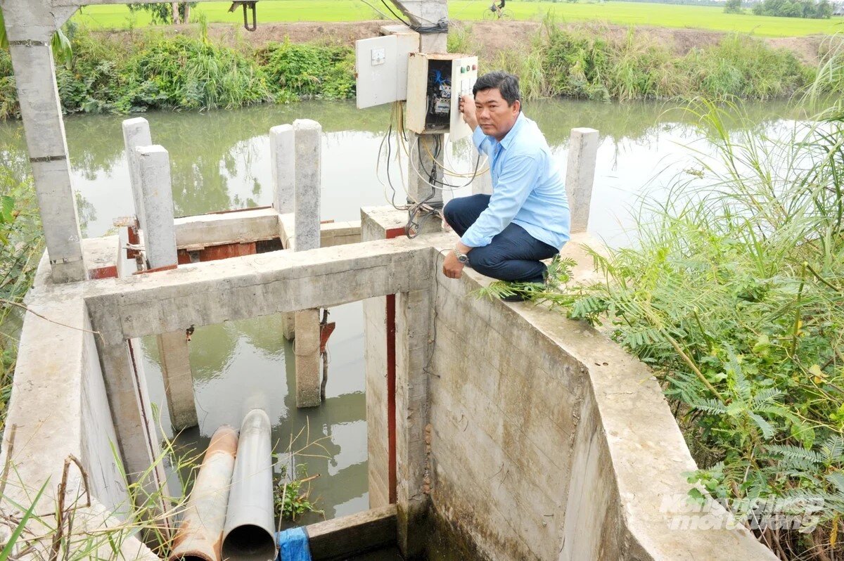 Đồng Tháp chủ động hạ mực nước phục vụ thu hoạch lúa đông xuân 